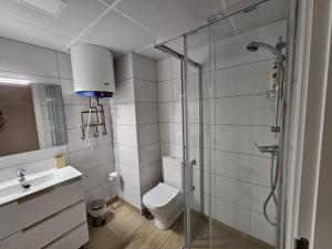 a bathroom with a shower and a toilet and a sink at Apartamentos Picasso in Alcalá de Henares +17 photos