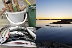 Foto de la galería de BOH668-Kloevedal-Bjoerholmen-81 en Björholmen