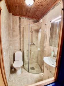 Un baño con ducha, inodoro y lavabo. en ORE758-Ramsberg-Persbovaegen-18, en Ramsberg