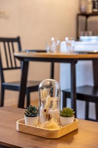 Un frasco de vidrio con plantas en una bandeja sobre una mesa. en Well-equipped studio with balcony, en Séné 9 fotos más
