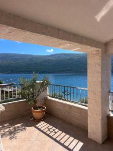 Gallery image of Apartmani Krivokapic in Herceg-Novi
