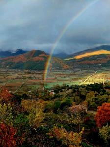 Gallery image of Hotel Semeli in Goura