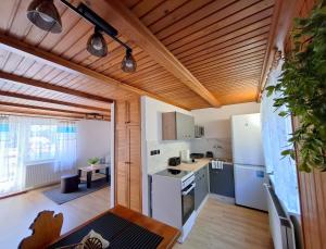 a kitchen and living room with a wooden ceiling at Apartmán Petra Cetnov in Cheb
