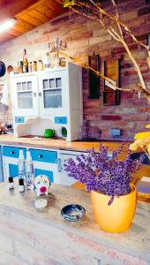 a kitchen with a vase of flowers on a counter at Holiday Home Paunovaca in Erdut