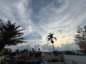 una palma di fronte a un cielo nuvoloso di The Pepper Room a Chikmagalūr