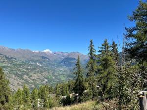 a view of a valley with trees and mountains at Studio fraîchement rénové proche pistes in Les Coches