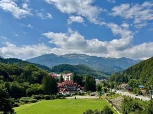 a town in the mountains with a green field at Billy&Ane Apartments,Rooms in Sinaia