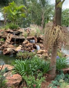 a garden with a pond and a palm tree at Piers Villa G in Harare