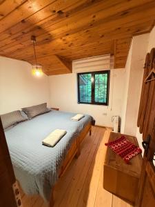 Giường trong phòng chung tại Villa Gusto, 3km from Pamporovo +10 ảnh