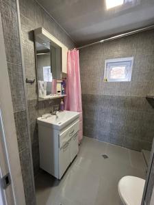a bathroom with a sink and a toilet at Telavi 51 in Telavi +13 photos