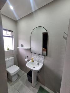 a bathroom with a sink and a toilet and a mirror at River Suite at On-the-Up in Potchefstroom