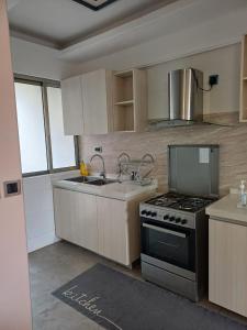 内罗毕Blonch's Airbnbs的带炉灶和水槽的厨房