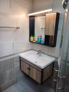 内罗毕Blonch's Airbnbs的浴室里有洗手池和镜子