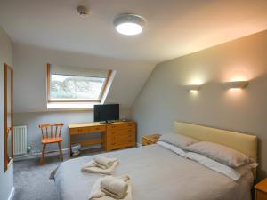 ein Schlafzimmer mit einem Bett, einem Schreibtisch und einem Fernseher in der Unterkunft The Garden Lodge Flat - Uk49415 in Pembrokeshire