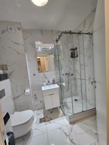 a bathroom with a shower and a toilet and a sink at PARK NOVI Apartmani in Novi Sad +18 photos