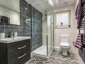 Un baño con ducha, inodoro y lavabo. en Carrie's Gate, en Coniston