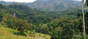 Příroda nedaleko bed and breakfast