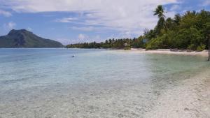 a view of a beach with trees and the water at Tiapaa Village in Maupiti