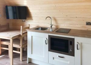 Dapur atau dapur kecil di Bron Eifion Lodges