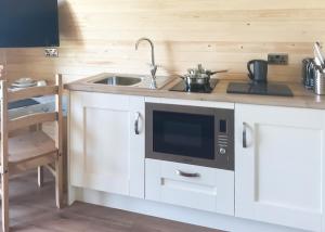 a kitchen with a sink and a microwave at Bron Eifion Lodges in Criccieth +3 photos