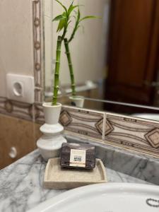 a bathroom with a plant in a vase and a sink at Abora Mar - Beach Apartment in Patalavaca