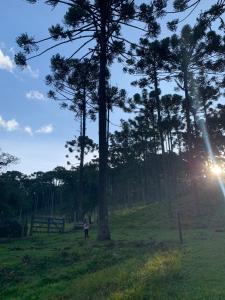a person standing next to a tree in a field at Cantinho da Bubu in Gonçalves