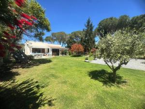 Foxiʼe SaliにあるVilla with garden 1000m to 300m from the sea in PULAの家と木のある庭