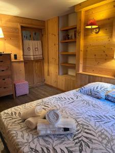 Postel nebo postele na pokoji v ubytování Appartement 2 chambres avec poils à bois