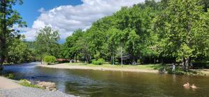 a group of people swimming in a river at The Bigwitch Cabin in Cherokee