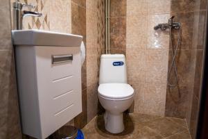 ein Badezimmer mit Toilette und Dusche in der Unterkunft Къща за гости Фамилия Бешкови in Vratsa + 31 Fotos