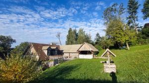 a house in a field with a grassy yard at Cifrovaná drevenička in Detva