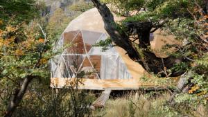 a glass dome house in the middle of a forest at Chalten Camp - Glamping with a view in El Chalten