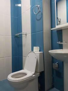 a bathroom with a toilet and a sink at Seastar in Kvariati