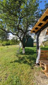 a wooden bench in a field with a tree at Tiny Nest in Filioara