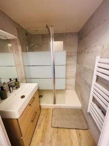 a bathroom with a shower and a sink at Gite de Clairette et Nono in Lantignié-en-Beaujolais