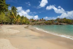 een zandstrand met palmbomen en de oceaan bij Au beau village studio vue nature in Sainte-Luce
