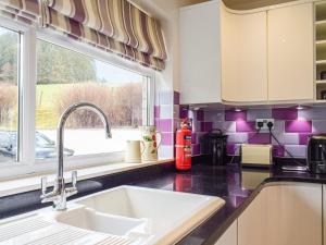 Dapur atau dapur kecil di Rhiw Gam +13 gambar