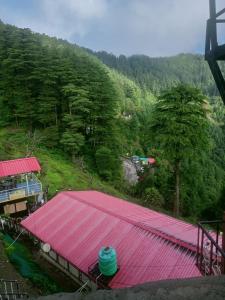 Příroda nedaleko rezortu