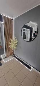 a bathroom with a mirror and a vase with a plant at Hotel Jolie in Brazii de Sus