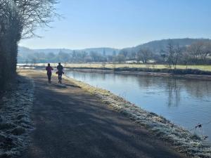 two people walking down a path next to a river at Le gîte de Hourpes in Thuin