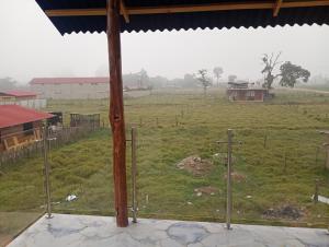 a view of a field from a window at Casa campo in Oxapampa