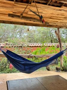una hamaca azul colgada de un techo de madera en Pouso campestre Ohana para família em Tiradentes, en Tiradentes 1 foto más