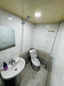 une salle de bain avec une douche, des toilettes et un lavabo dans l'établissement Buddy Apartment Borjomi, à Bordjomi