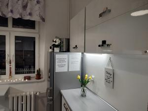 トルンにあるMagnolia Roomsのキッチン(冷蔵庫付)、花瓶付きのカウンター