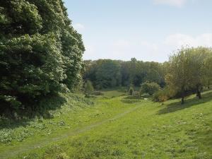 a dirt road in a grassy field with trees at Cobble Stones in Holt
