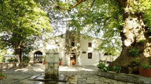 Zahrada ubytování Nikolaou House + 37 fotografií
