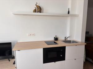 Η κουζίνα ή μικρή κουζίνα στο Studio Miravelle +10 φωτογραφίες