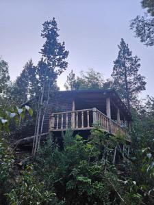 a house with a deck in the woods at Cabaña Refugio Cascada in Llanada Grande