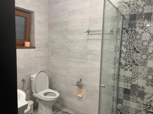 a bathroom with a toilet and a glass shower at Vila Cantacuzino in Buşteni +8 photos