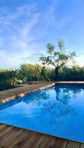 a swimming pool with a wooden deck and blue water at Il Piccolo Borgo for 7 guests in Certaldo